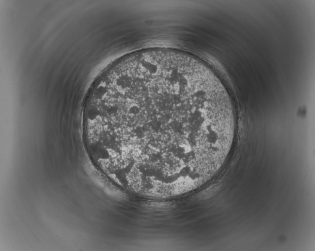 X0000112111035200909151219
