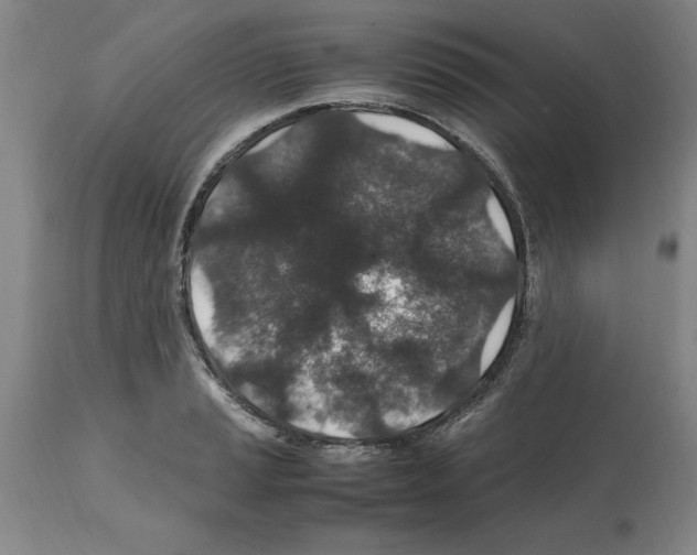 X0000112111037200909151219