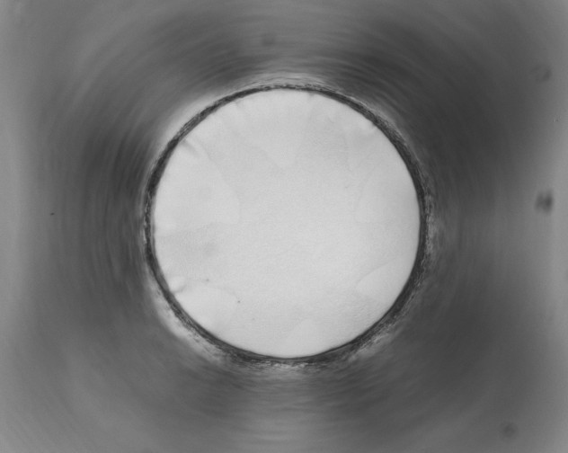X0000112111038200909151219