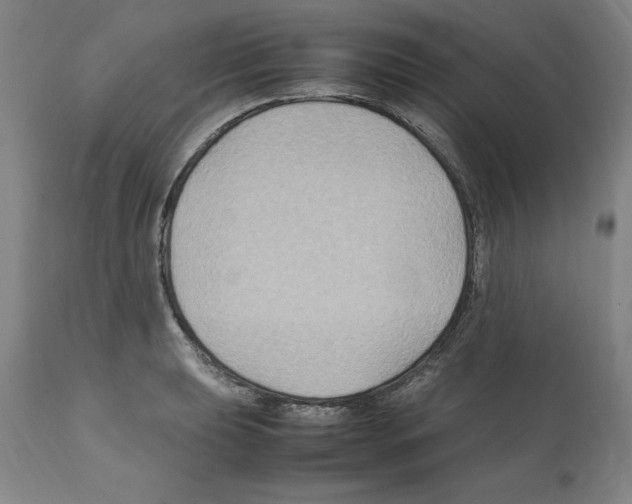 X0000112111039200909151219