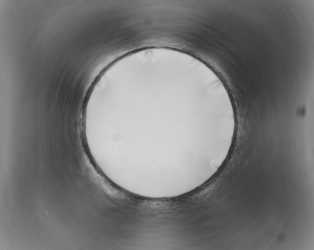 X0000112111040200909151219