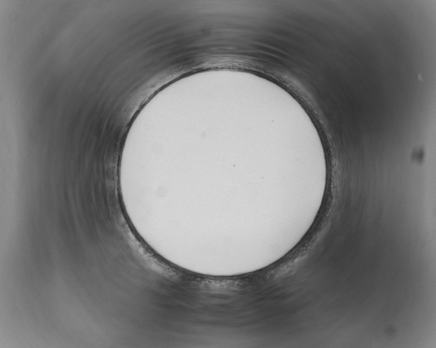 X0000112111041200909151219
