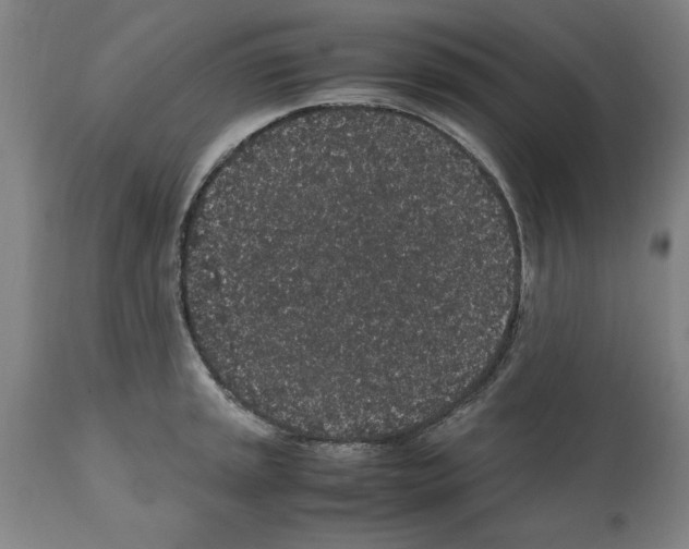 X0000112111045200909151219