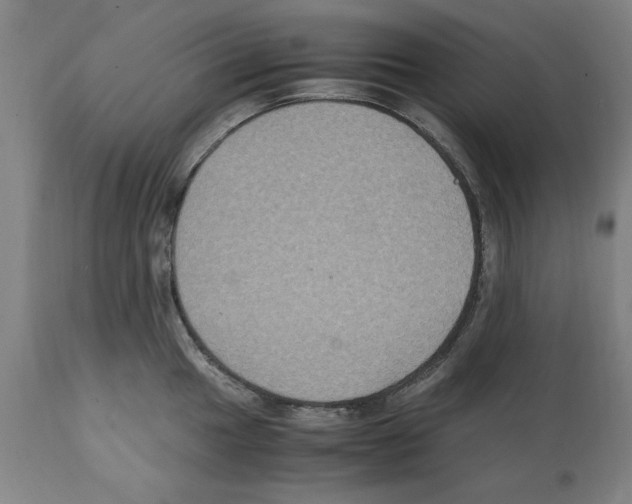 X0000112111049200909151219