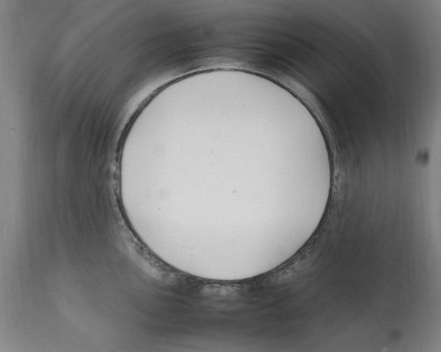X0000112111051200909151220