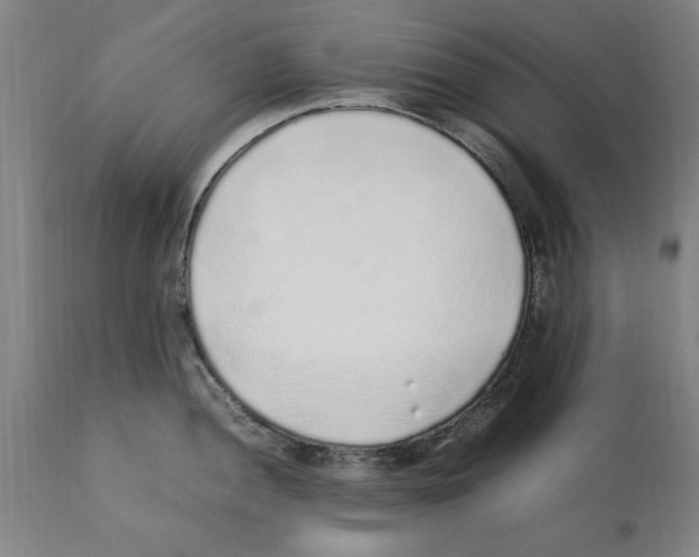 X0000112111052200909151220