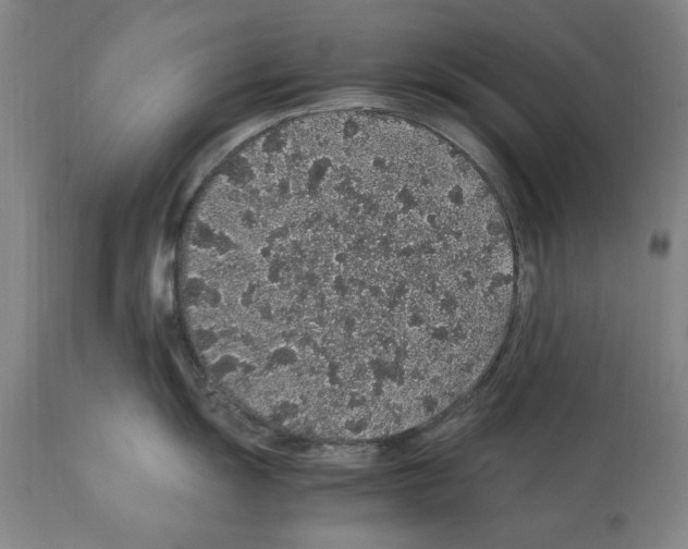 X0000112111055200909151220