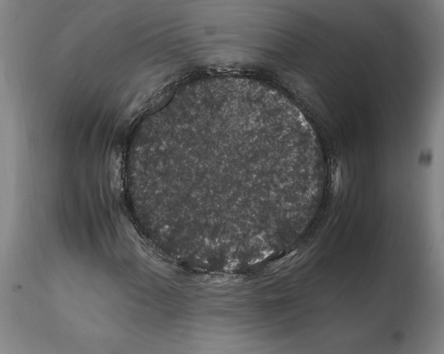 X0000112111060200909151219