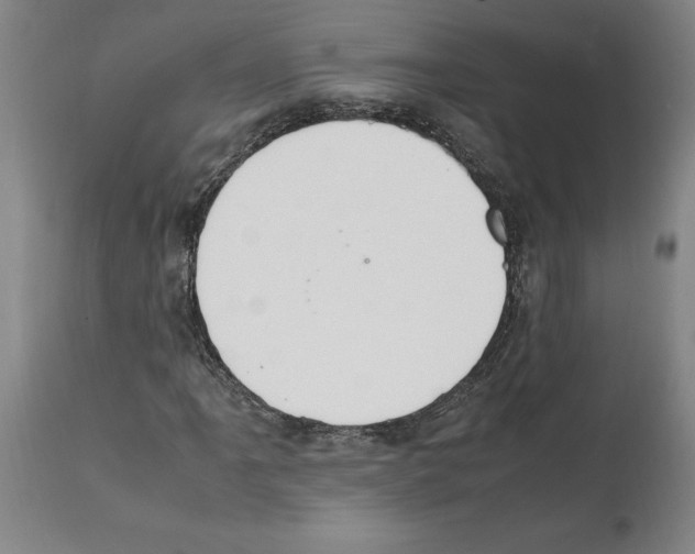 X0000112111061200909151219