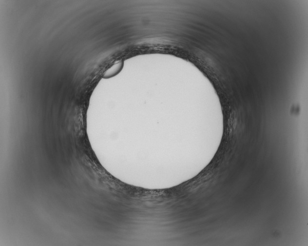 X0000112111062200909151219