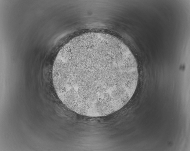 X0000112111063200909151219