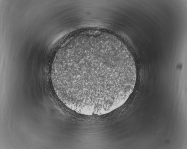X0000112111064200909151219