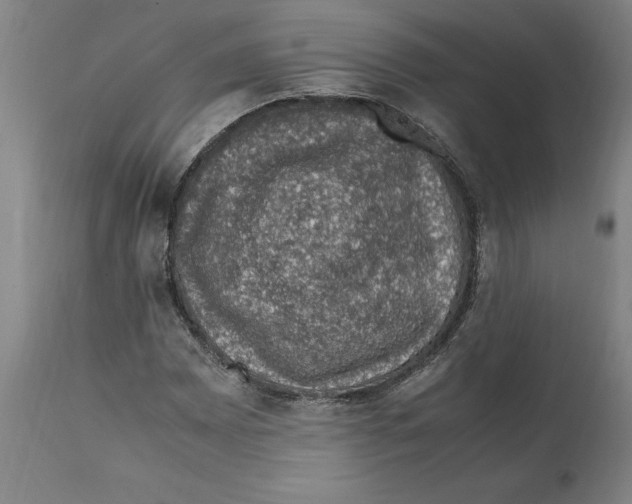 X0000112111065200909151219