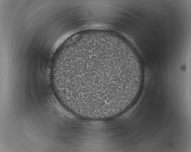 X0000112111066200909151219