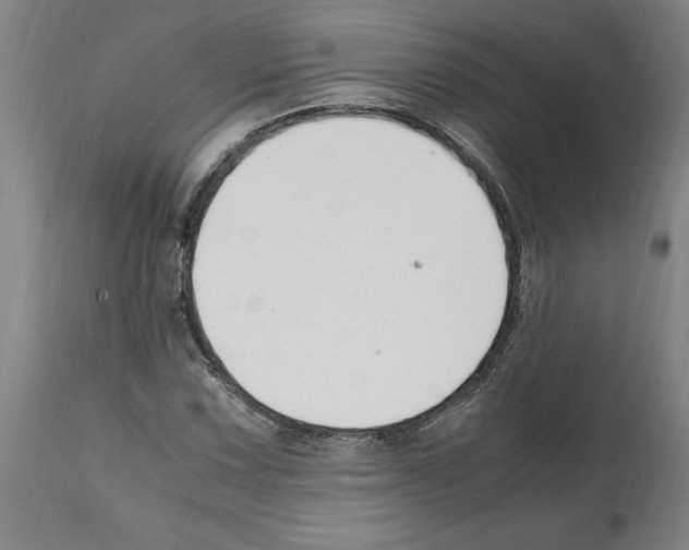 X0000112111067200909151219