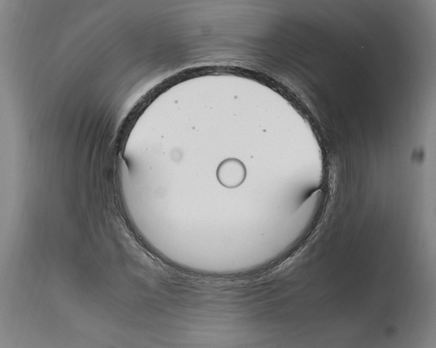 X0000112111069200909151219