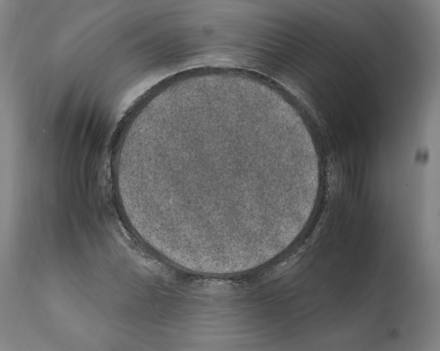 X0000112111070200909151219