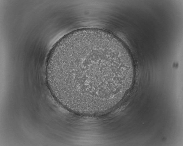 X0000112111071200909151219