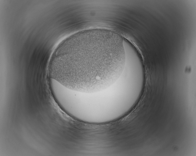 X0000112111072200909151219