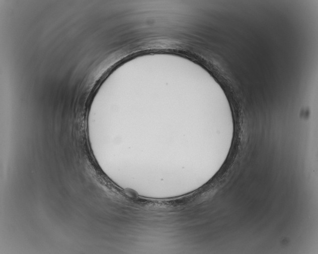 X0000112111073200909151219