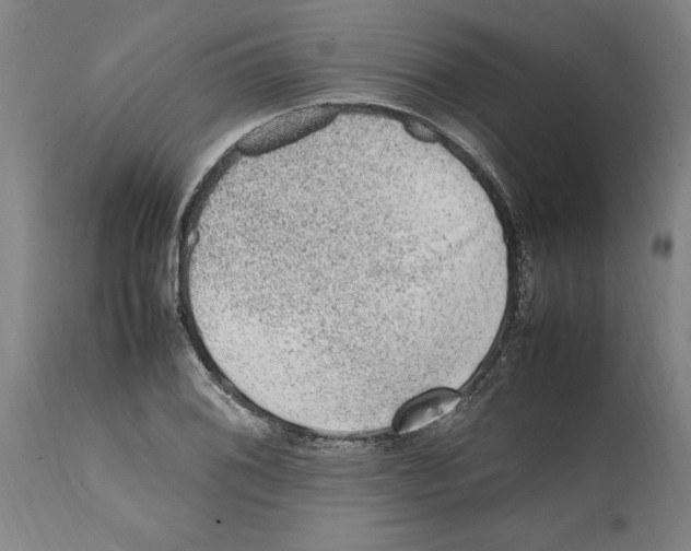 X0000112111076200909151219