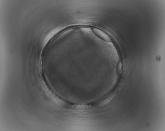 X0000112111077200909151219