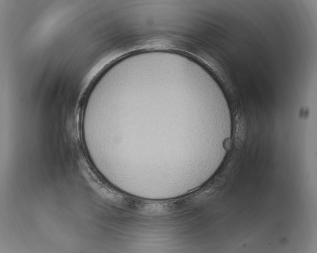 X0000112111078200909151219