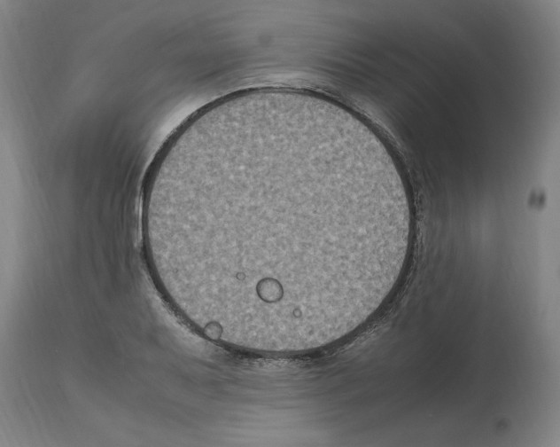 X0000112111079200909151219