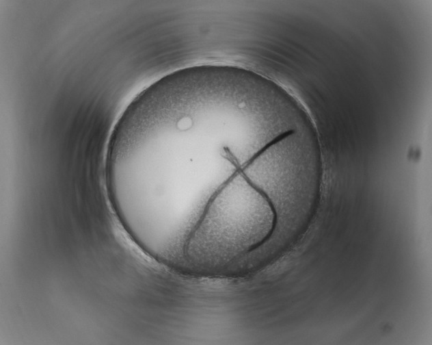 X0000112111080200909151219