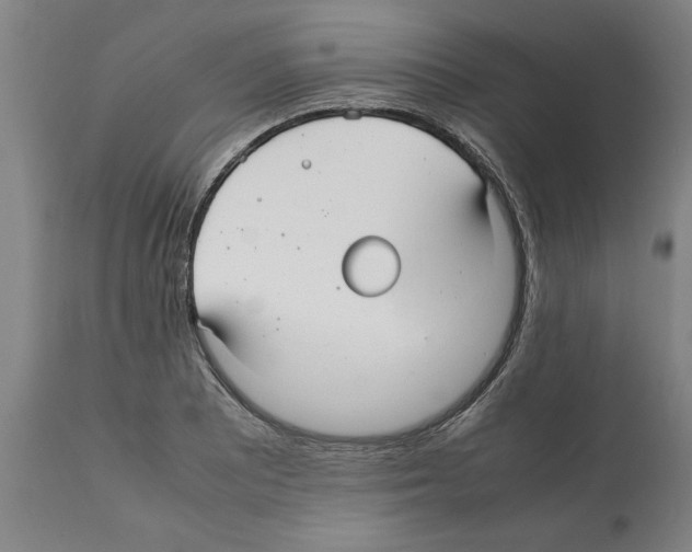 X0000112111081200909151219