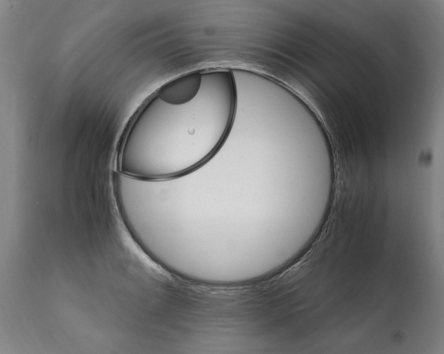 X0000112111084200909151219