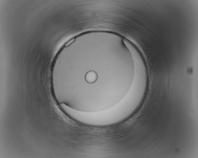 X0000112111085200909151219
