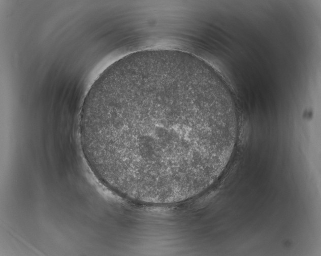 X0000112111086200909151219