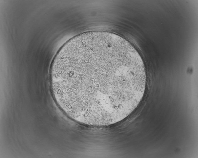 X0000112111087200909151219