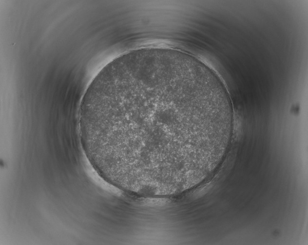 X0000112111090200909151218