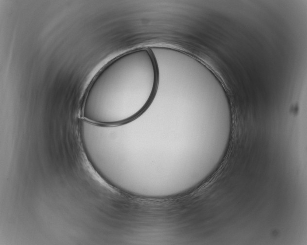 X0000112111092200909151218