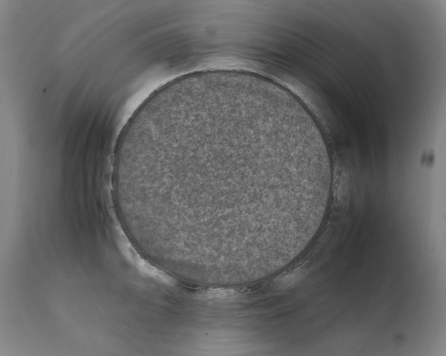 X0000112111094200909151218