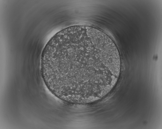 X0000112111095200909151218