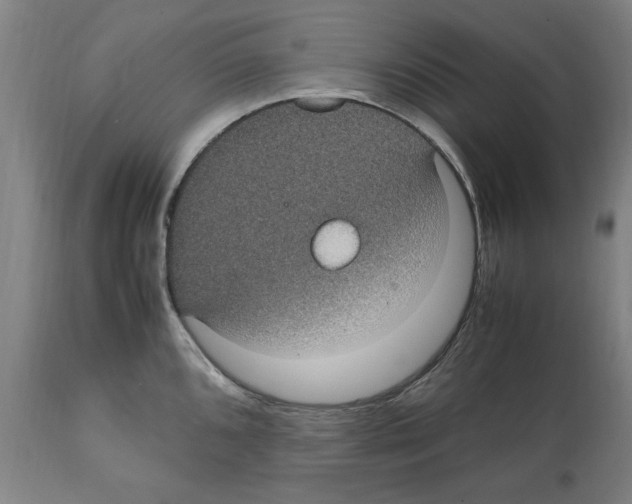X0000112111096200909151218