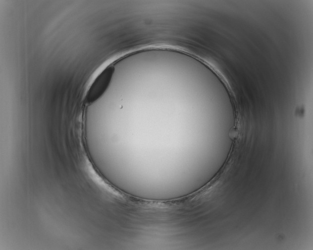 X0000112111100200909151218