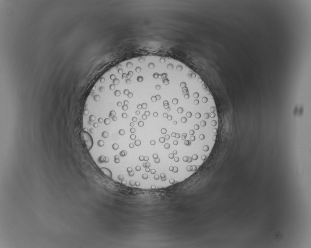 X0000112111105200909151218