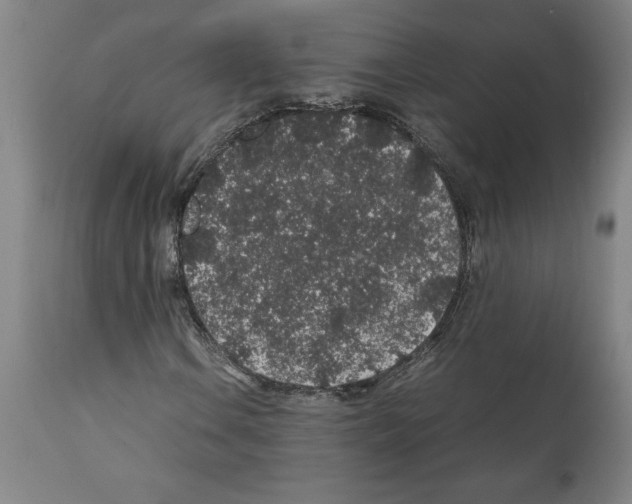 X0000112111106200909151218