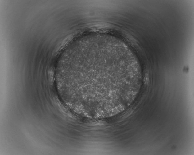 X0000112111108200909151218