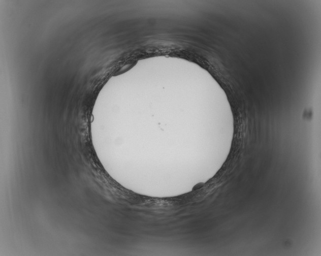 X0000112111109200909151218
