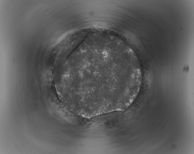 X0000112111110200909151218
