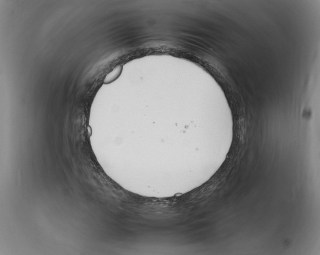 X0000112111111200909151218