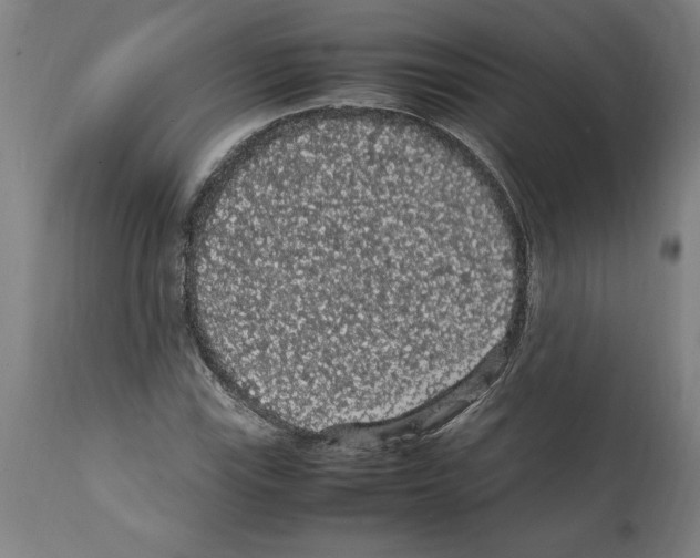 X0000112111115200909151218