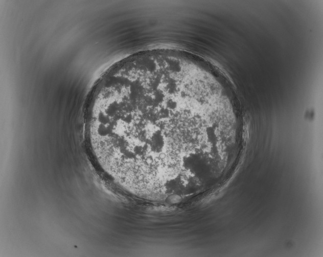 X0000112111117200909151218