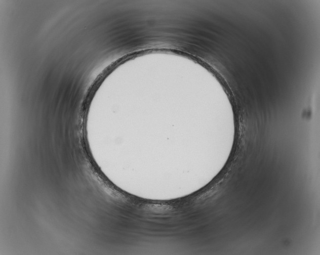 X0000112111119200909151218