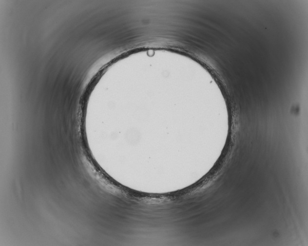 X0000112111122200909151218